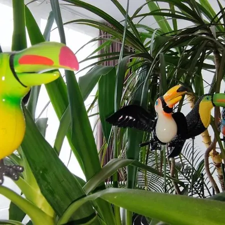 Апартаменты Abel Luxury Констанца