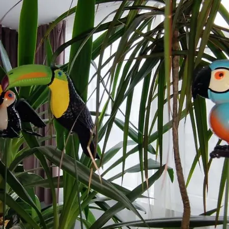 Апартаменты Abel Luxury Констанца