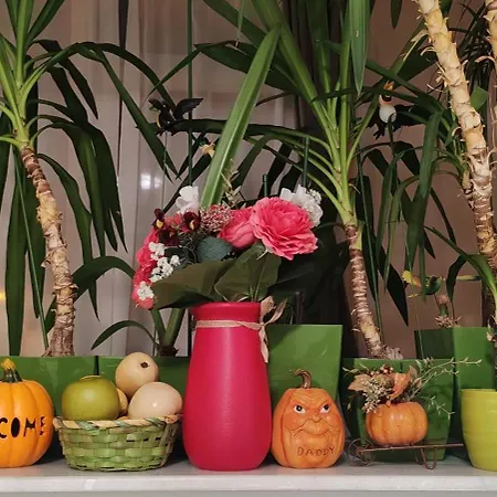 Abel Luxury Apartament