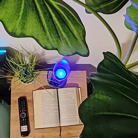 Abel Luxury コンスタンツァ