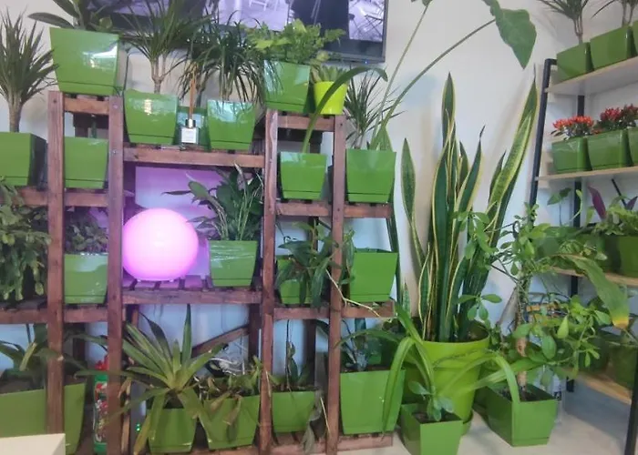 Abel Luxury Konstanca