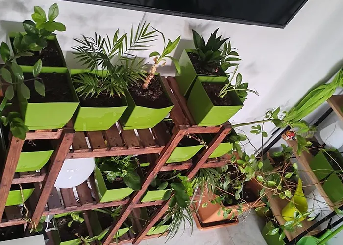 Abel Luxury アパート