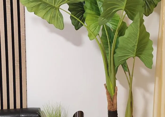 アパート Abel Luxury