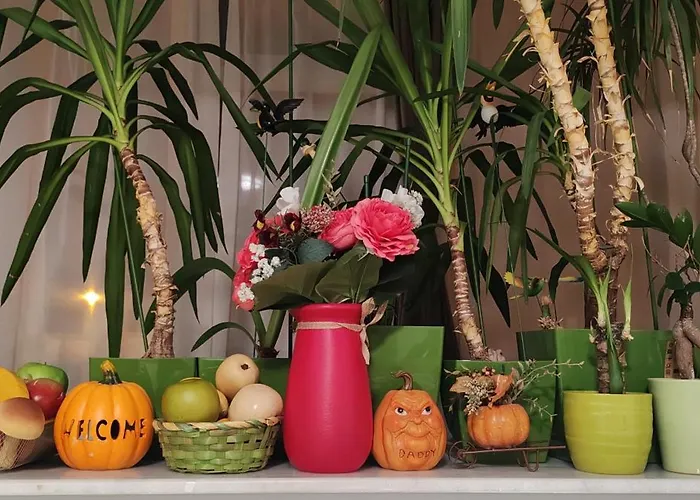 Abel Luxury アパート