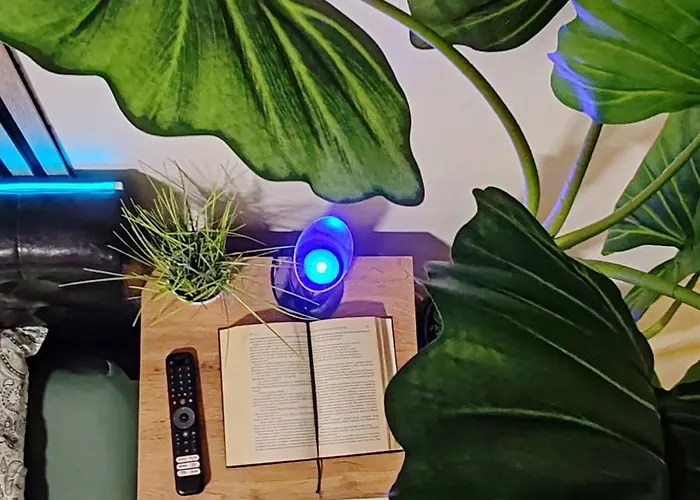 Abel Luxury コンスタンツァ