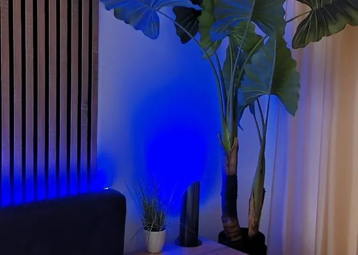 Abel Luxury * コンスタンツァ